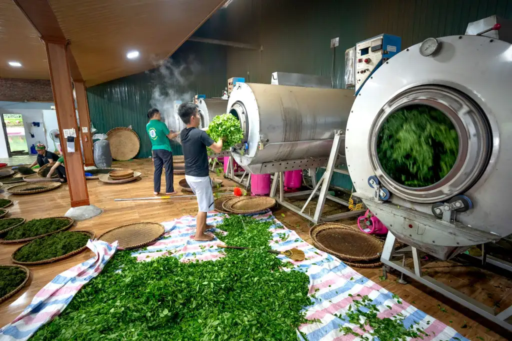 纽约伦敦巴黎米兰四大时装周参展流程与合作方式说明